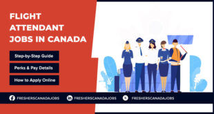 Flight Attendant Jobs